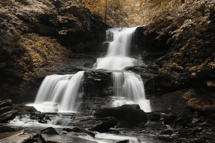 Picture of GOLDEN WATERFALL II