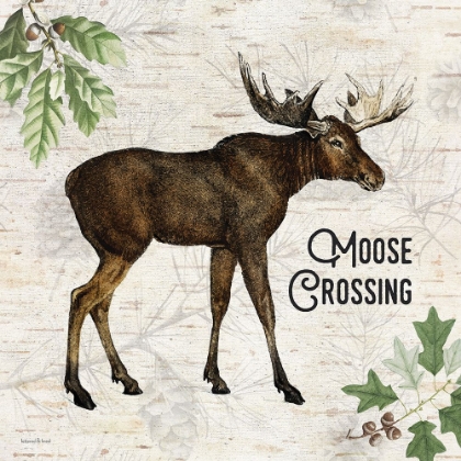 Picture of MOOSE CROSSING