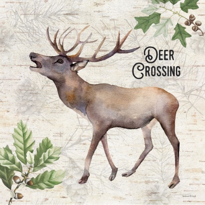 Picture of DEER CROSSING