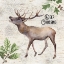 Picture of DEER CROSSING