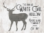 Picture of WHITE TAIL HOLLOW