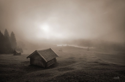 Picture of MISTY MORNING SUNRISE    