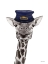 Picture of TRAIN CONDUCTOR GIRAFFE