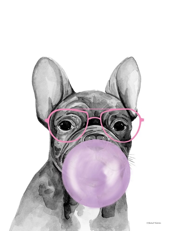 Picture of BUBBLE GUM PUPPY