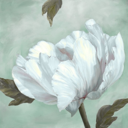 Picture of PRECIOUS PEONY IV