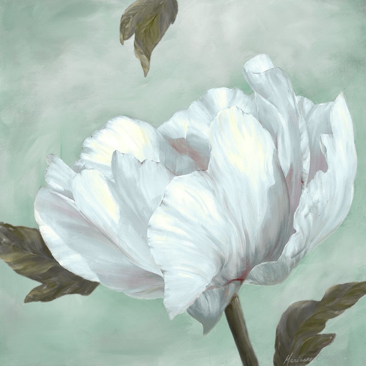 Picture of PRECIOUS PEONY IV