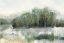 Picture of GREEN FOREST REFLECTION 