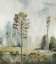 Picture of TALL GREEN TREES I 