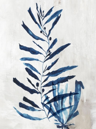 Picture of CORAL PLANT I 