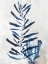 Picture of CORAL PLANT I 
