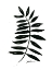 Picture of INKED LEAVES II