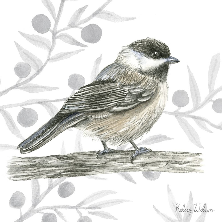 Picture of BACKYARD BIRDS II-CHICKADEE