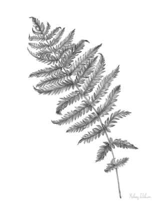 Picture of NEUTRAL FERN I