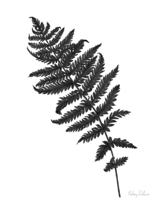 Picture of NEUTRAL FERN BLACK I