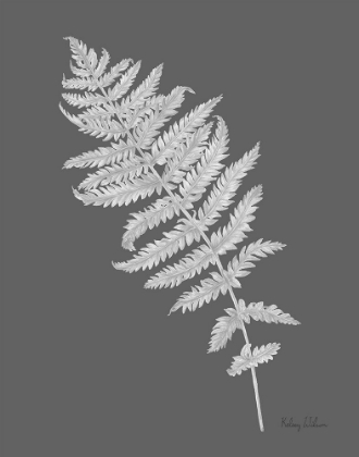 Picture of NEUTRAL FERN ON GREY I
