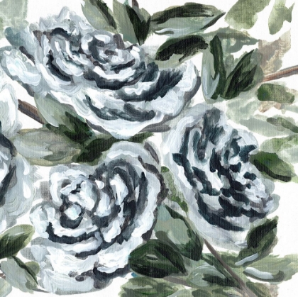 Picture of SHADOWED BLUE ROSES II