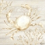 Picture of CALM SHORES II