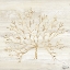 Picture of CALM SHORES IV