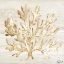 Picture of CALM SHORES V