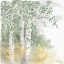 Picture of NATURES LEAVES II SAGE