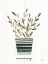Picture of HERB GARDEN V