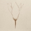 Picture of MODERN VINTAGE FLORAL V