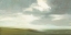 Picture of MOORLAND