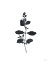 Picture of BOTANICAL STUDY BRANCH