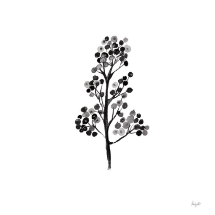 Picture of BOTTICELLI PLANT IV BLACK