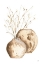 Picture of VASE BRANCH