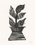 Picture of PLANTED IX