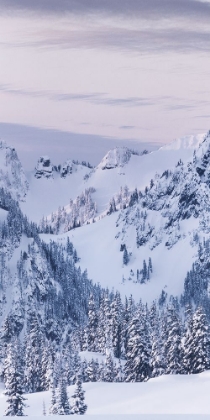 Picture of TATOOSH RANGE TRIPTYCH I