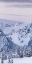 Picture of TATOOSH RANGE TRIPTYCH I