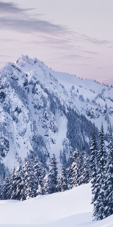 Picture of TATOOSH RANGE TRIPTYCH II