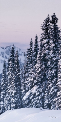 Picture of TATOOSH RANGE PANEL III