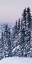 Picture of TATOOSH RANGE PANEL III
