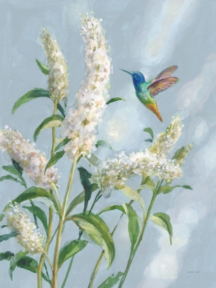 Picture of HUMMINGBIRD SPRING II SOFT BLUE