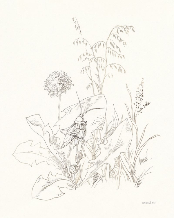 Picture of NATURE SKETCHBOOK VII