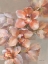 Picture of DELICATE ORCHID I
