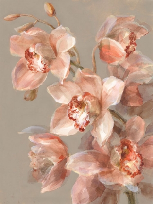 Picture of DELICATE ORCHID II