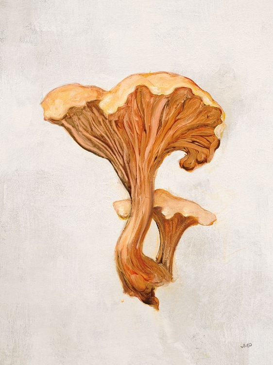 Picture of WOODLAND MUSHROOM IV