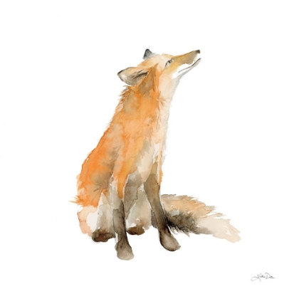 Picture of DREAMING FOX ON WHITE