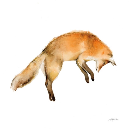 Picture of JUMPING FOX ON WHITE