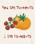 Picture of TOMATO TOSS II