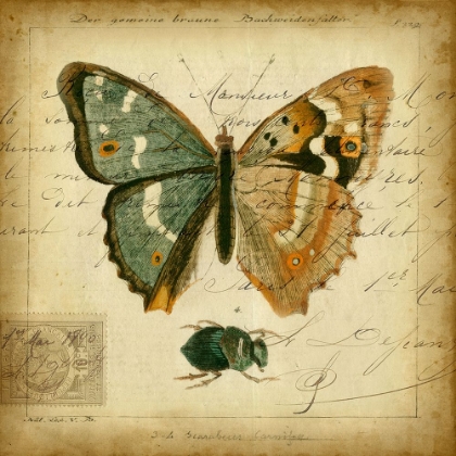 Picture of CUSTOM POSTSCRIPT BUTTERFLY I (GC)