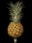 Picture of BROOKSHAW EXOTIC PINEAPPLE II
