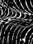 Picture of CURVATURE 2.0