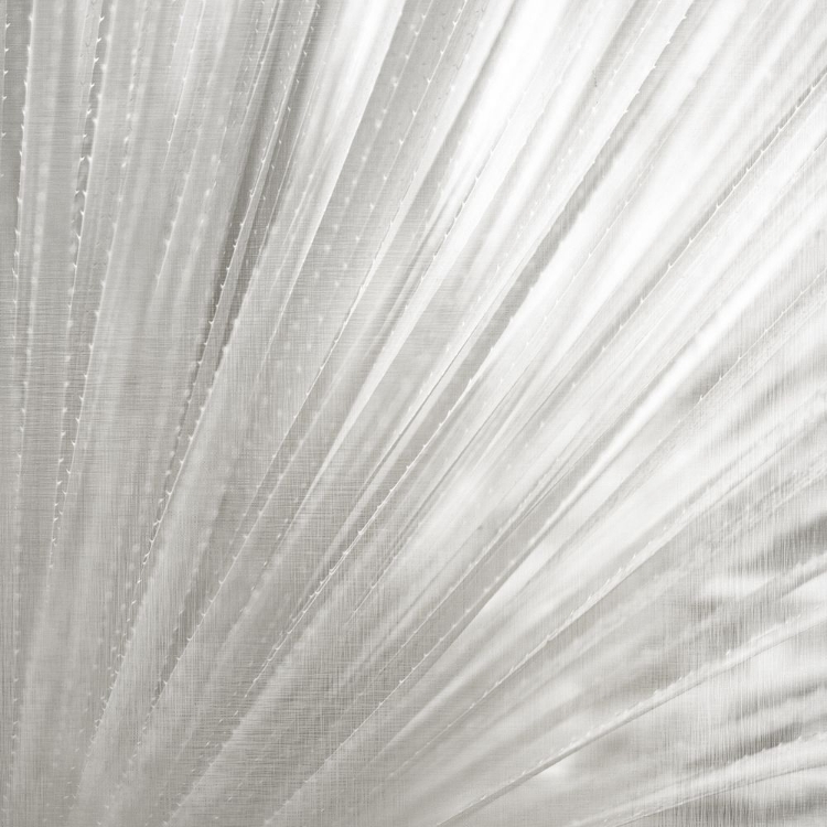 Picture of SILVER WASH