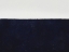 Picture of BLUE OYSTER