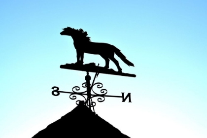 Picture of HORSE WEATHER VANE